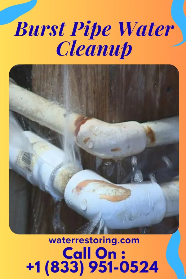 Burst Pipe Water Cleanup in Great Falls Crossing, VA