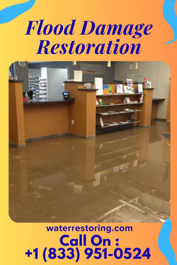 Flood Damage Restoration in Great Falls Crossing, VA