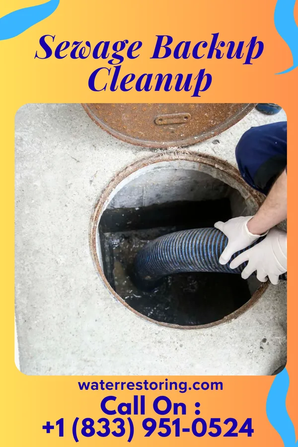 Sewage Backup Cleanup in Great Falls Crossing, VA