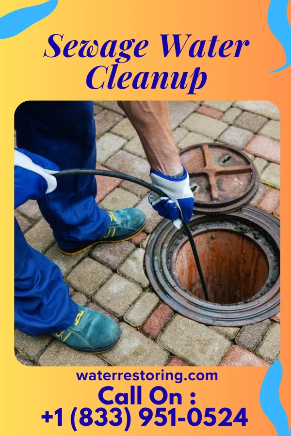 Sewage Water Cleanup in Great Falls Crossing, VA