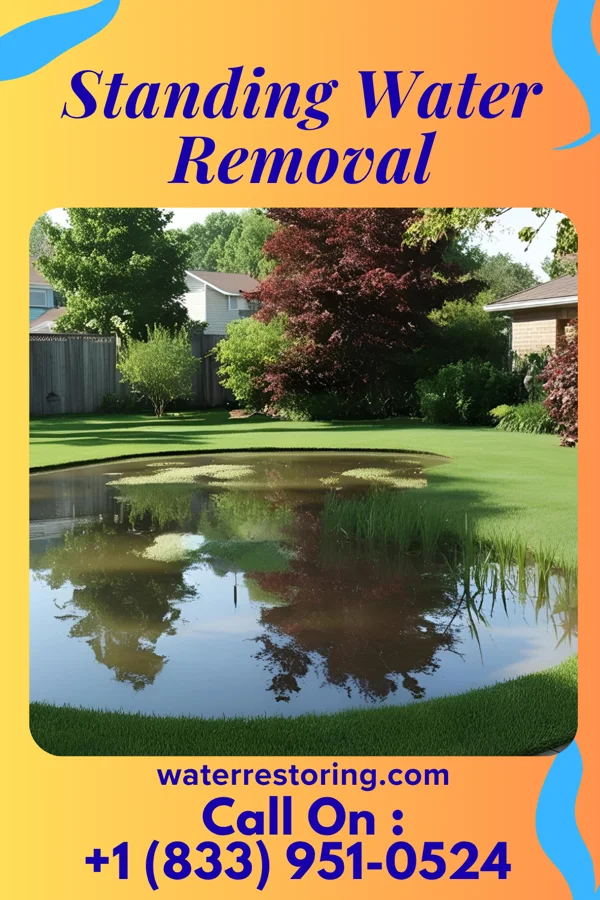 Standing Water Removal in Great Falls Crossing, VA